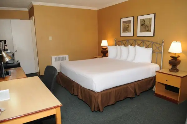 Civic Center Motor Inn 8