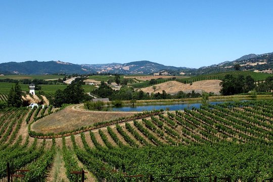 Tour image 6