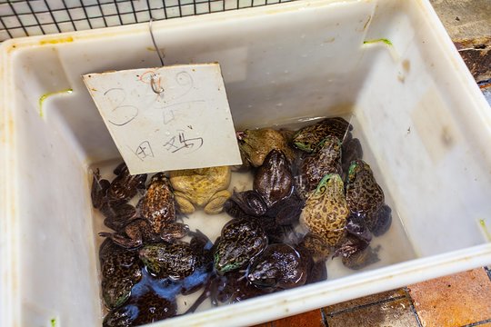 Tour image 12