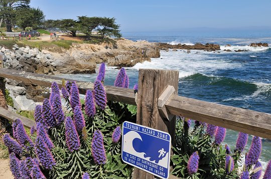 Tour image 7