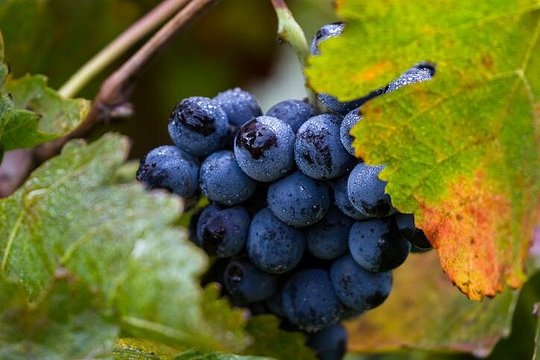 Tour image 3