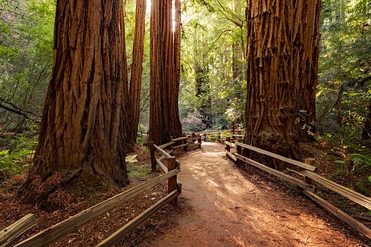 Tour image 2